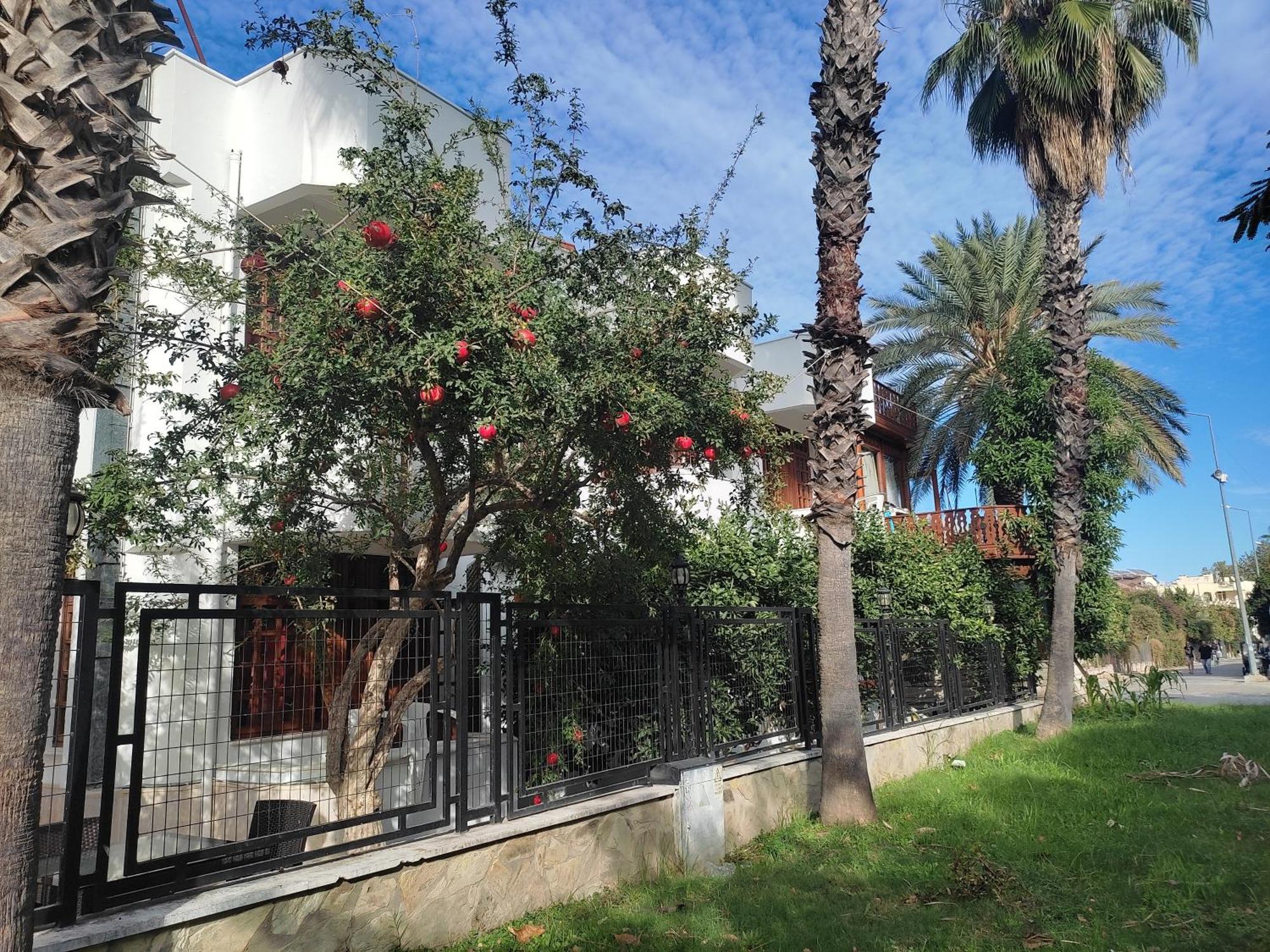 Garden Prizma Rooms&Aparts كمر الغرفة الصورة